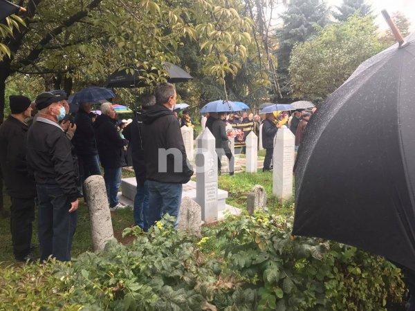 244689226-869880800337750-1699474882393749979-n