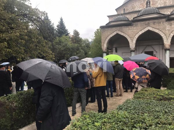 244510193-177545001196162-7606932845930698578-n