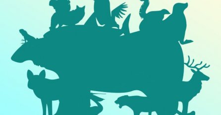 JUTARNJA MOZGALICA: Koliko životinja se krije na ovoj slici? SAMO RIJETKI POGODE TAČAN BROJ