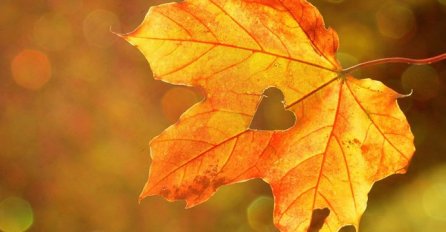 ASTROLOZI OBJAVILI ŠTA VAS ČEKA NAREDNIH 7 DANA: Ovo su 3 najsretnija znaka, SPREMITE SE ZA KIŠU PARA