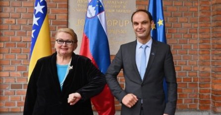 Turković u Ljubljani: Bez stabilne BiH, nema stabilnog regiona