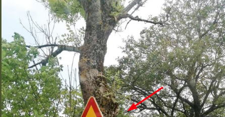 SAOBRAĆAJNI ZNAK USLIKAN U ŠUMI U HRVATSKOJ HIT NA INTERNETU: Šta ovo rade muškarac i žena? (FOTO)