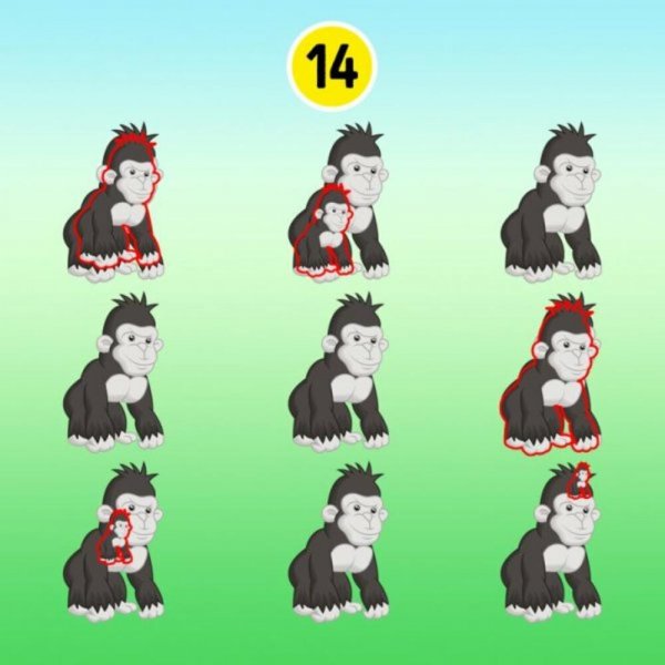 1019267-5fd152dec87c48fca85604c80a0a0a642previeworg-ff