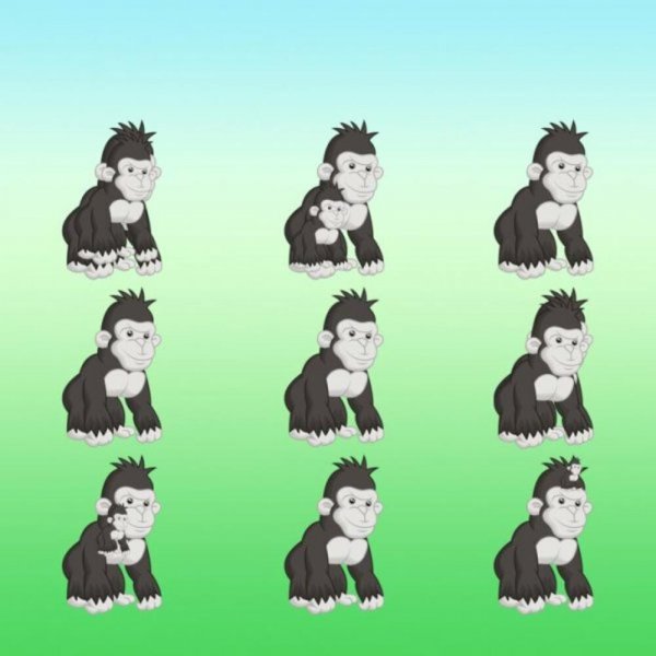 1019265-5fd152d99be842cba75104c70a0a0a641previeworg-ff