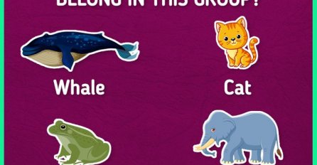 DA LI STE PAZILI NA ČASOVIMA? KOJA ŽIVOTINJA NE PRIPADA OVOJ GRUPI: Mnogi odgovore pogrešno!