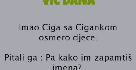 VIC DANA: Ciga ima osmero djece