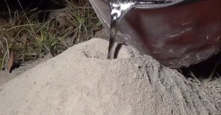 Izlio je rastopljeni aluminij u napušteni mravinjak da vidi kako izgleda unutra: Snimak je sve iznenadio - POGLEDAJTE UNUTRAŠNJOST MRAVINJAKA (VIDEO)
