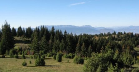 Šta piše u odluci Ustavnog suda BiH kojom je osporen Zakon o šumama Republike Srpske