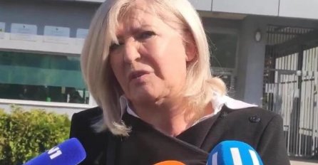 Vidović nakon hakiranja laptopa: Primam ozbiljne prijetnje, gledala sam u oči najvećim zločincima