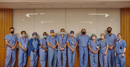 SAD: Uspješna transplatacija svinjskog bubrega u čovjeka