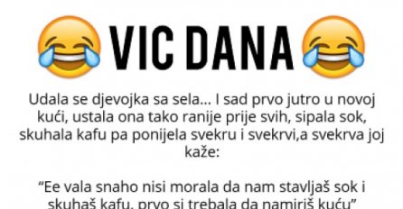 VIC DANA: Svekrva i snaha 