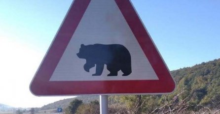 U BiH postavljen prvi znak "medvjed na cesti - vozači oprez"