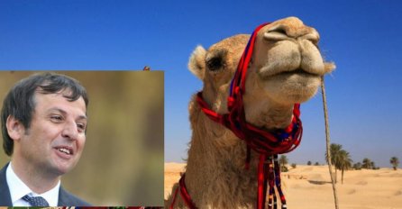 Vukanović iz Katara poručuje: "Ne volim da jašem kamile, samo..."