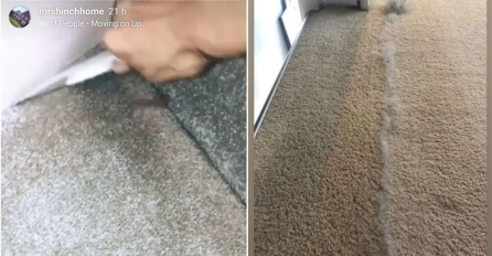 NEVJEROVATAN  METOD ČIŠĆENJA TEPIHA: Čisti bolje od usisivača, IZVLAČI SVE DLAKE U SEKUNDI (VIDEO)