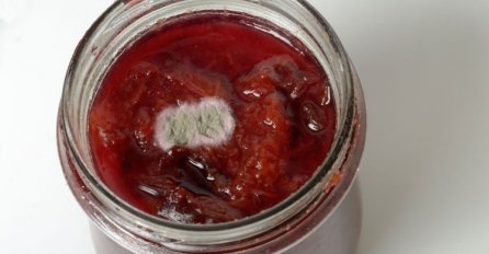 SMIJETE LI JESTI DŽEM AKO SE NA VRHU UHVATILA BUĐ? Konačno smo dobili odgovor