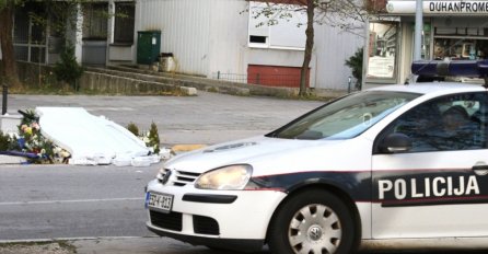 Snažan vjetar izazvao haos u Sarajevu: Čupa stabla, ruši spomenike