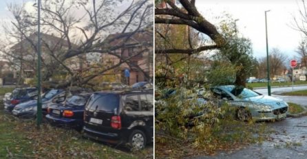 OVAKVO NEVRIJEME SE NE PAMTI Snažan vjetar u Sarajevu oštetio krov škole, rušio stabla, panoe, spomenike