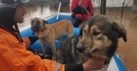 Pripadnici FUCZ-a spašavali životinje iz poplavljenih područja