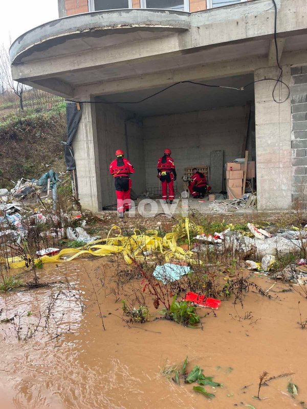 252061790-887187545520924-7468062399572090177-n