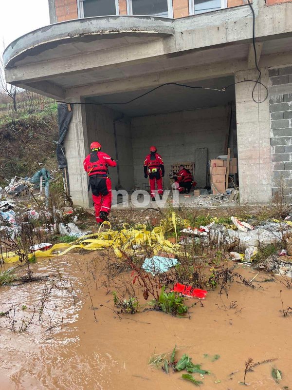 253260790-409114547367862-6718819587809774907-n