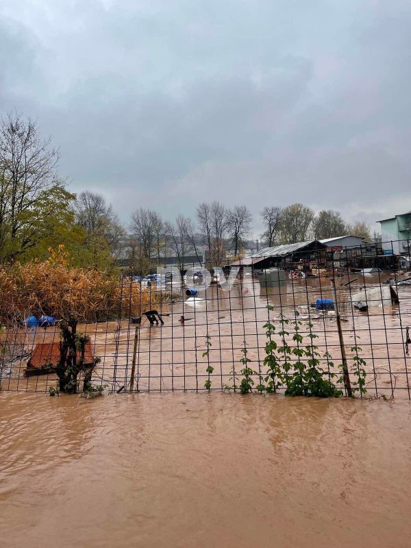 253611630-178255121168780-1666027103460513817-n