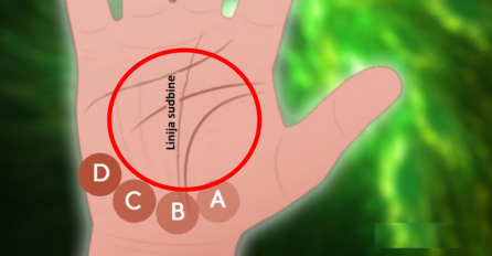 Operite dobro ruke a zatim okrenite dlanove prema gore: JESTE LI UGLEDALI OVE LINIJE - evo šta to znači za vašu budućnost