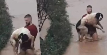 Sarajlija spasio psa koji se zaglavio u živoj ogradi u nabujaloj rijeci na Ilidži