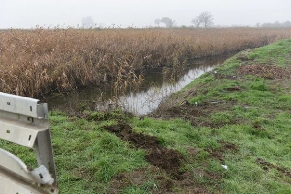 254350217-404567868026673-1946499366309984132-n