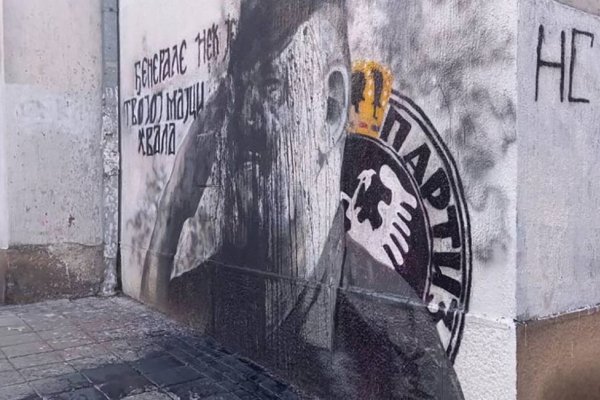 Aida Ćorović osuđena zbog gađanja grafita Ratka Mladića jajima