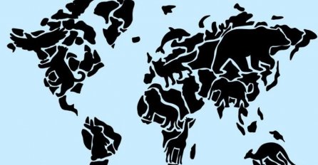 KOJU ŽIVOTINJU STE PRVO VIDJELI NA OVOJ SLICI? Ovaj test otkriva šta vas NAJBRŽE NALJUTI - SVIMA JE POGODILO