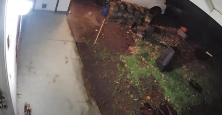 NOĆIMA SU SLUŠALI NEOBIČNE ZVUKOVE IZ SVOG DVORIŠTA, A ONDA SU UGRADILI KAMERU: Kad su ujutru pogledali snimak nisu mogli sebi doći (VIDEO)