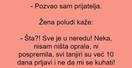 Vic dana: Žena, muž i prijatelj