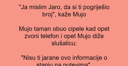 Vic dana: Zvoni fiksni telefon