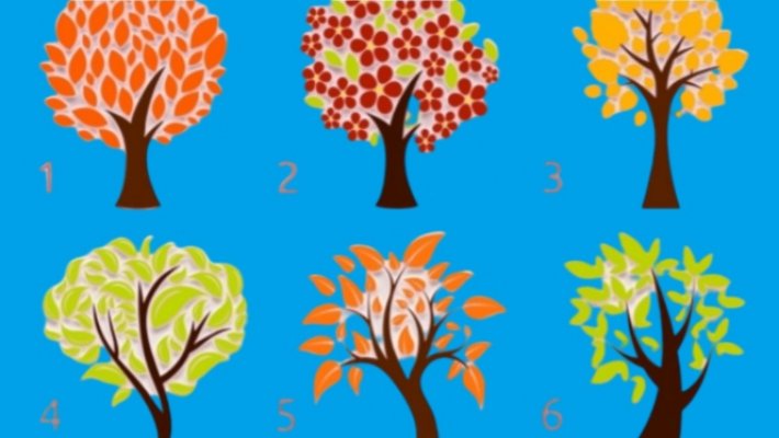 test-izaberite-drvo-edit-73478552417954