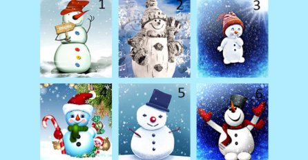 IZABERITE SVOG SNJEŠKA BIJELIĆA: Evo šta vas očekuje OVE ZIME - nevjerovatno, ALI TAČNO!