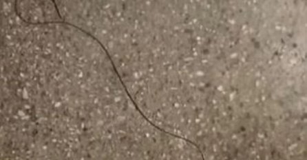 ZNATE LI ŠTA JE OVO NA SLICI? MIGOLJI SE I PREPALO JE SVE: Snimljeno ispred bolnice, a evo da li je opasno. 