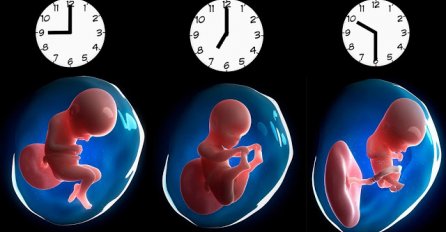 Tačan sat vašeg rođenja sadrži tajnu vaše ličnosti: RECITE NAM U KOLIKO STE SE RODILI, OTKRIVAMO ŠTA VAS ČEKA U ŽIVOTU