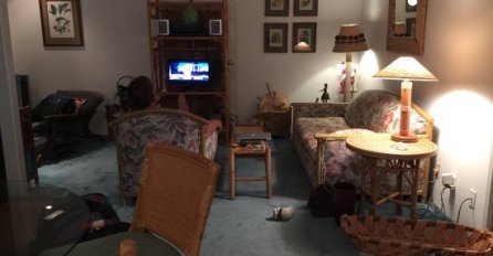 1 DETALJ U KUĆI JE ODRAZ KOKUZLUKA: Svi ga drže u sobi, a nisu ni svjesni da pokazuje siromaštvo