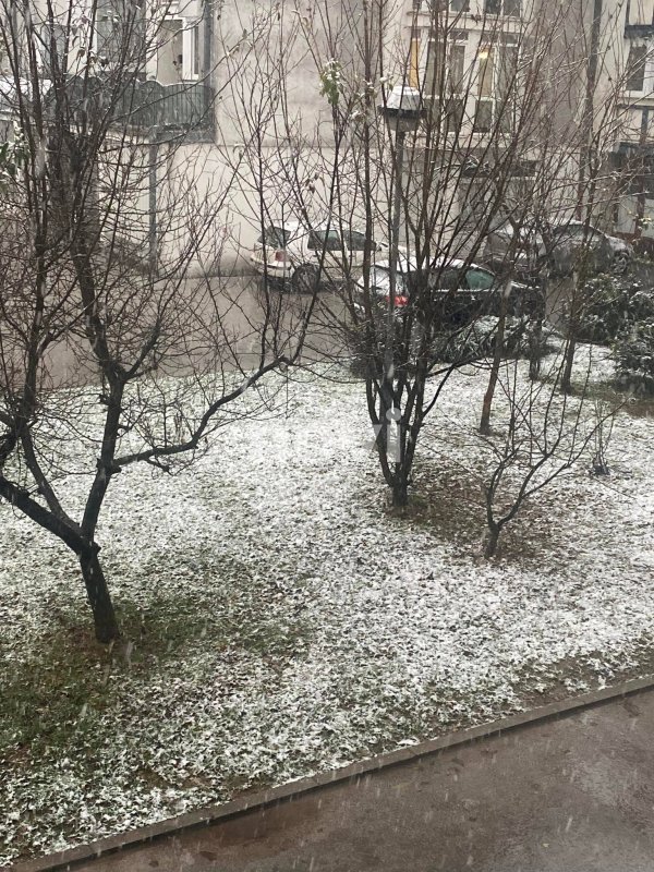 260402867-345929287296646-3059503671005822757-n