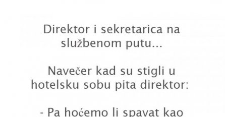 VIC DANA: Sekretarica