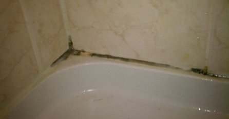 BUĐ U KUPATILU JE VEOMA OPASNA ZA ZDRAVLJE: Treba vam samo JEDAN SASTOJAK i zauvijek će nestati, GENIJALNO!