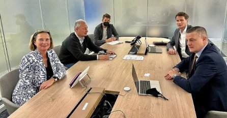 Mijatović i Husagić razgovarali sa EU parlamentarcima o krizi u našoj zemlji