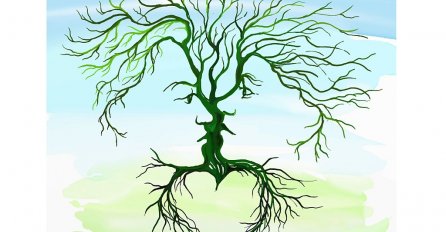 TEST - ONO ŠTO PRVO VIDITE NA SLICI OTKRIVA VAŠU SUDBINU: Saznajte šta se krije u vašoj podsvijesti i srcu!