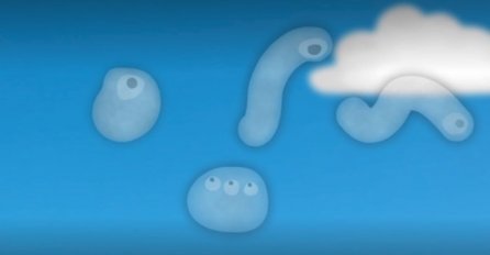 Mnogim ljudima ove providene lebdeće stvari smetaju dok gledaju: ZNATE LI ŠTA JE OVO ZAPRAVO?