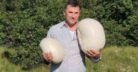 Fadil Novalić objavio fotografiju - "Najveće pečurke koje sam ubrao":  Uslijedili komentari "mašallah"