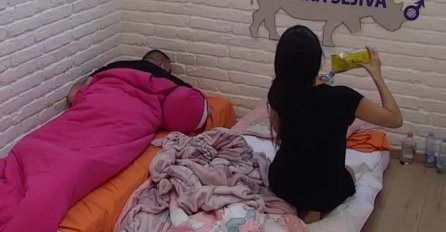 Maja ponudila Cara CEDEVITOM, NJEGOV ODGOVOR JE HIT: Marikovićeva ostala u šoku, SVI PLAČU OD SMIJEHA (VIDEO)