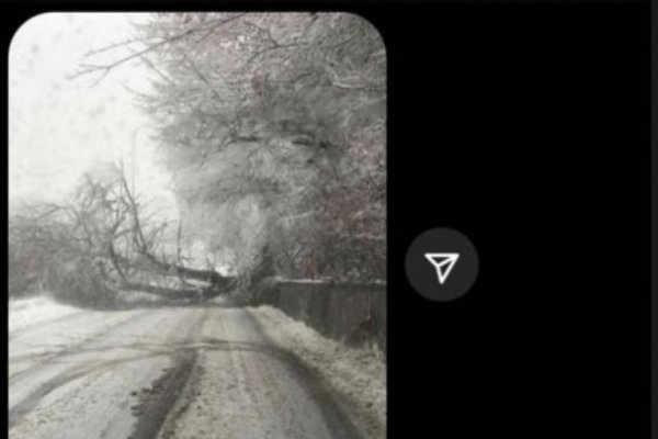 218397-sdagokdskadgspladgspl-f