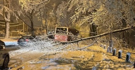 SLIKE RAZLUPANIH AUTOMOBILA I OBORENIH STABALA: Pogledajte kako je snijeg PARALISAO Srbiju! (FOTO)