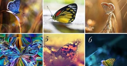 ODABERITE JEDNOG LEPTIRA KOJI VAM SE NAJVIŠE DOPADA: On otkriva šta trebate uraditi da vam se ŽELJE ISPUNE, ovo će vam promijeniti život