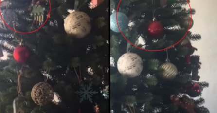 Djeca se igrala ispod jelke, a onda se začuo VRISAK: Roditelji su ostali u ŠOKU kada su vidjeli šta se nalazi ispod UKRASA (VIDEO)